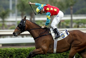 Ambitious Draon Sha Tin Trophy 2012